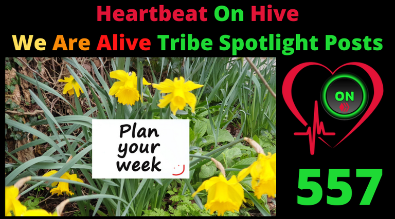 Heartbeat On Hive spotlight post557.png