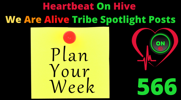 Heartbeat On Hive spotlight post566.png