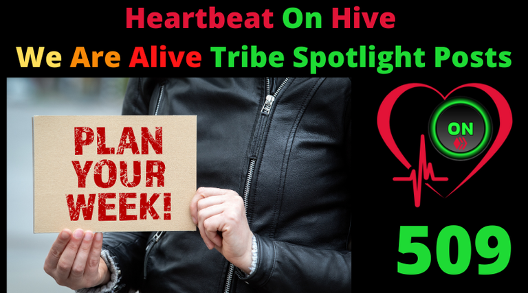 Heartbeat On Hive spotlight post509.png