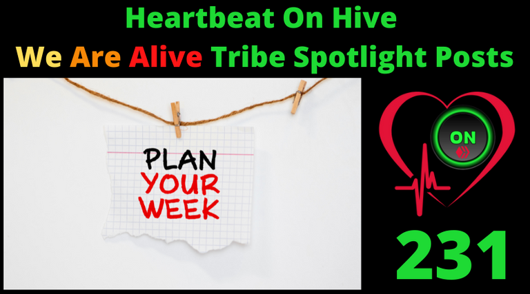 Heartbeat On Hive spotlight post231.png