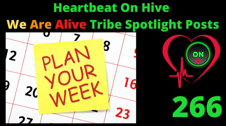 Heartbeat On Hive spotlight post266.png