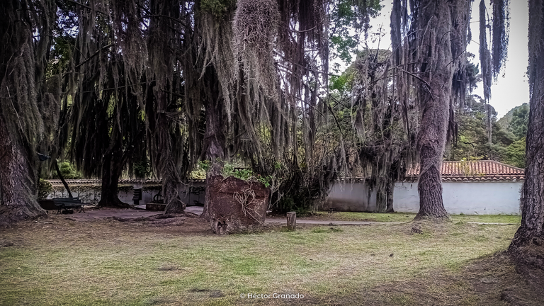 IMG_20250530_153033617_MFNR.png