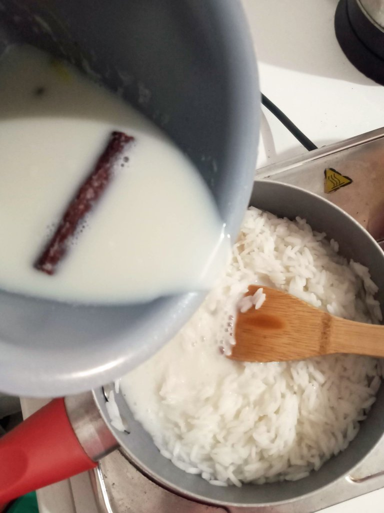 rice pudding 5.jpg