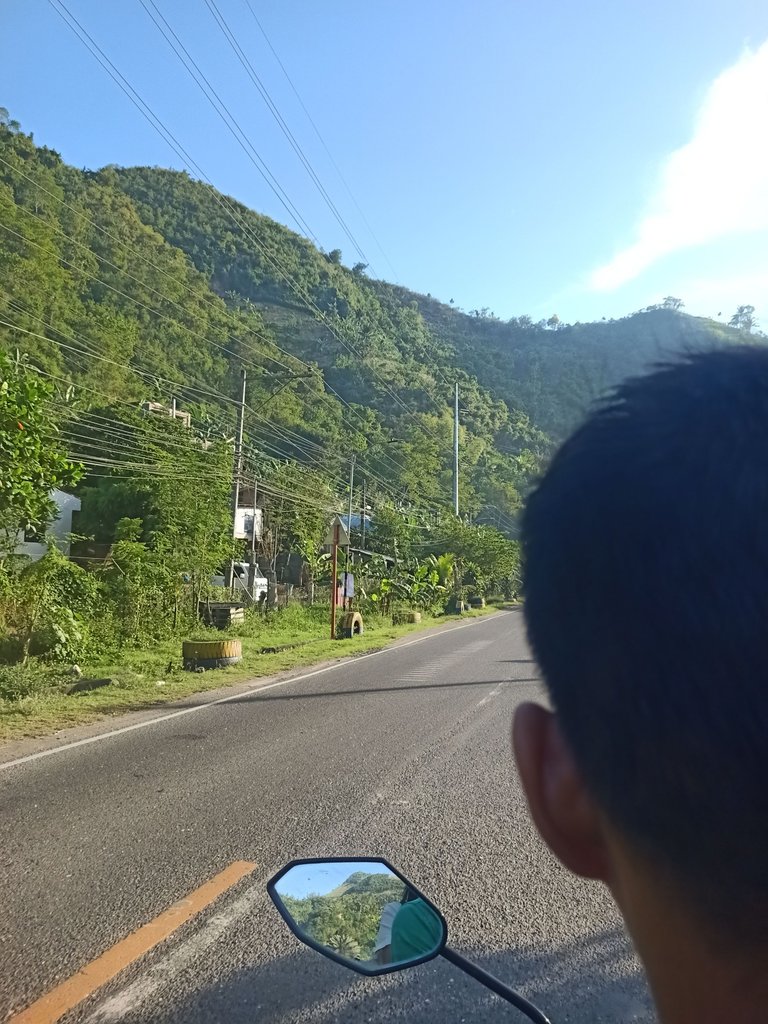 IMG20241125071252.jpg