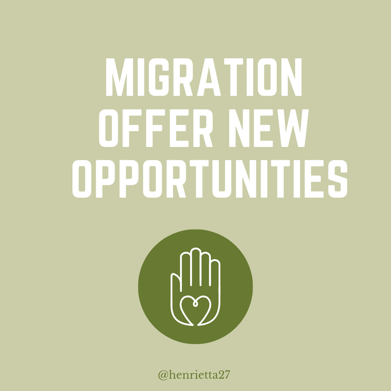 Green Brown Minimal World Refugee Day Social Media Instagram Post_20250306_130233_0000.png