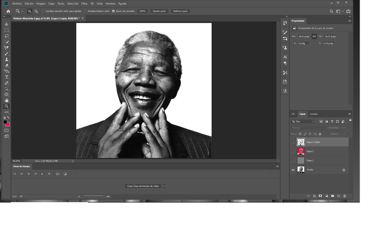 fase 1 mandela.png