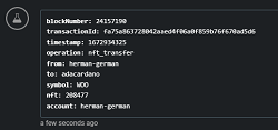 5_winner_woo_nft_transfer.png