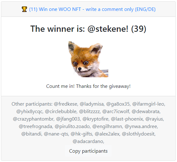 11_winner_woo_nft.png