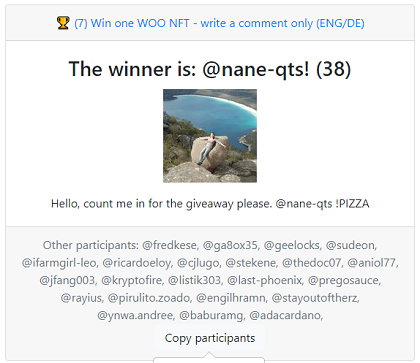 7_winner_woo_nft.png