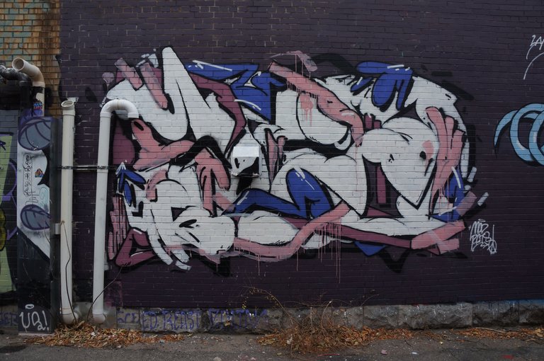 556 - Mad Rats Graffiti Alley.jpg