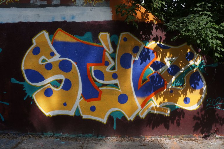 DSC03101.JPG