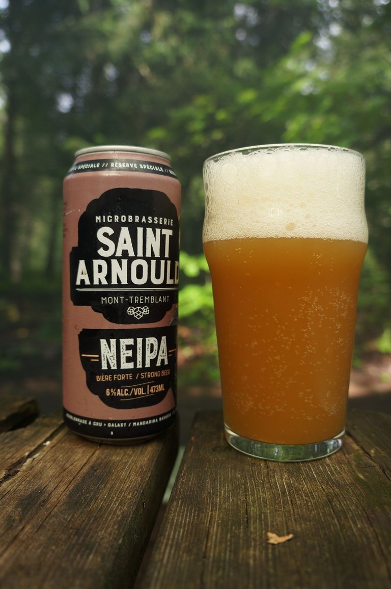 NEIPA (Saint-Arnould)