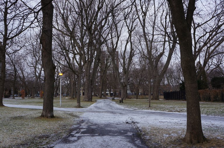 Parc Lafontaine