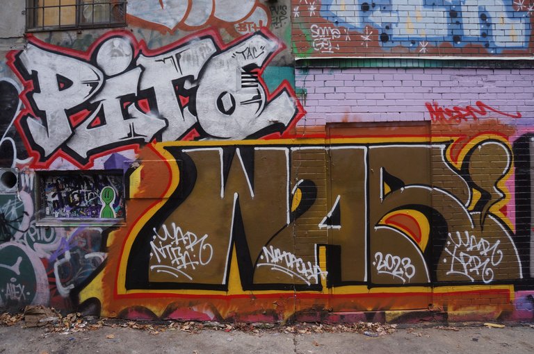 363 - Pito & (War) Graffity Alley.jpg
