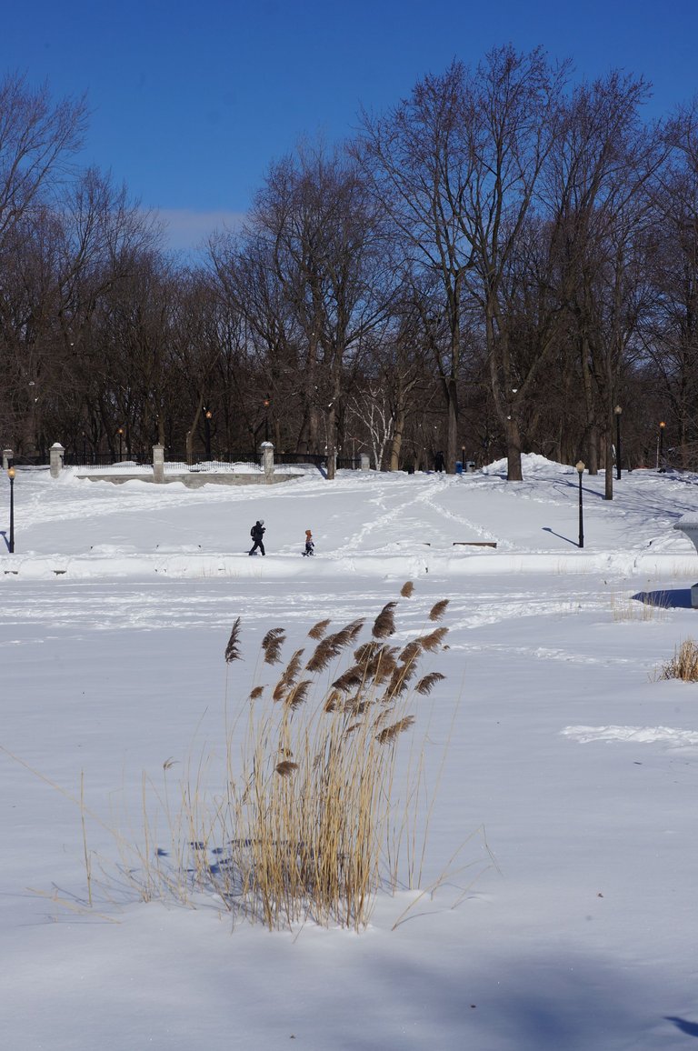 DSC07666.JPG