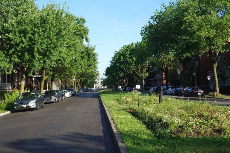 Avenue Morgan