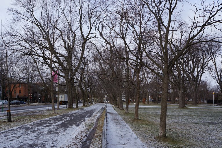 Parc La Fontaine