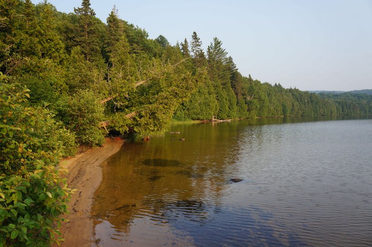 DSC08455.JPG