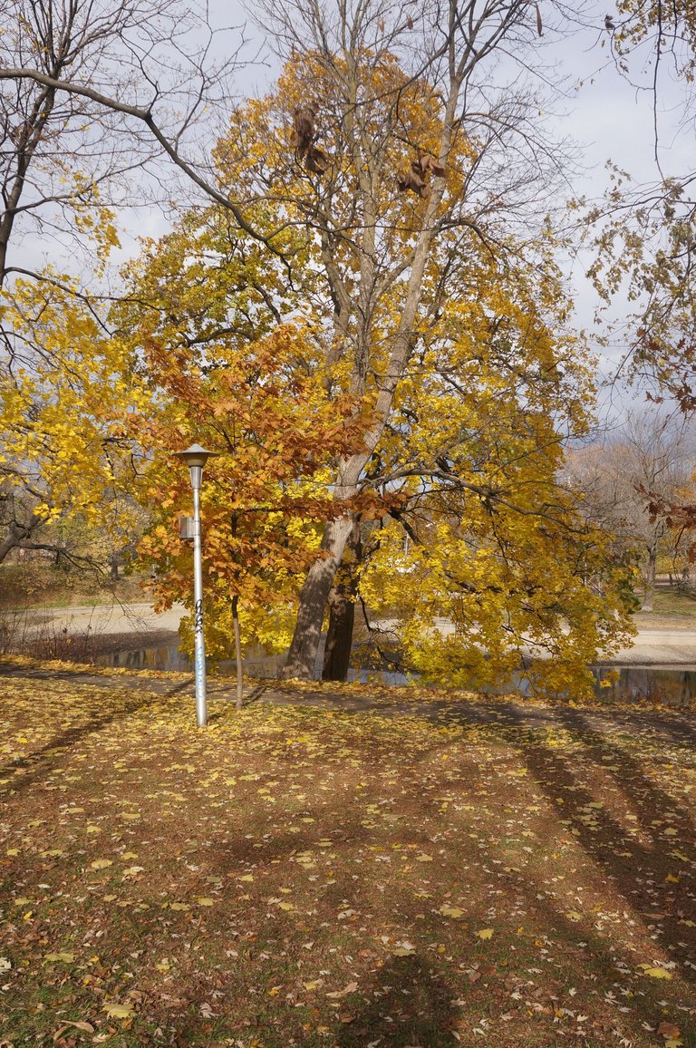 DSC04385.JPG