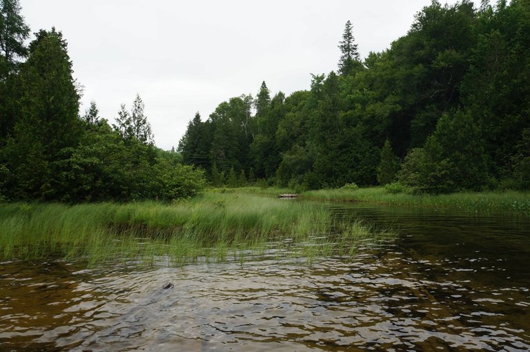 DSC08483.JPG