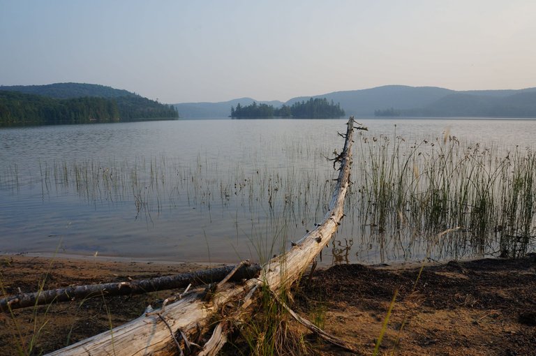 Lac Joinville