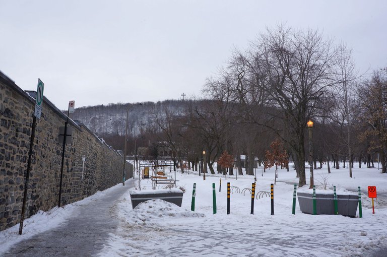 Esplanade street with view of Mount Royal