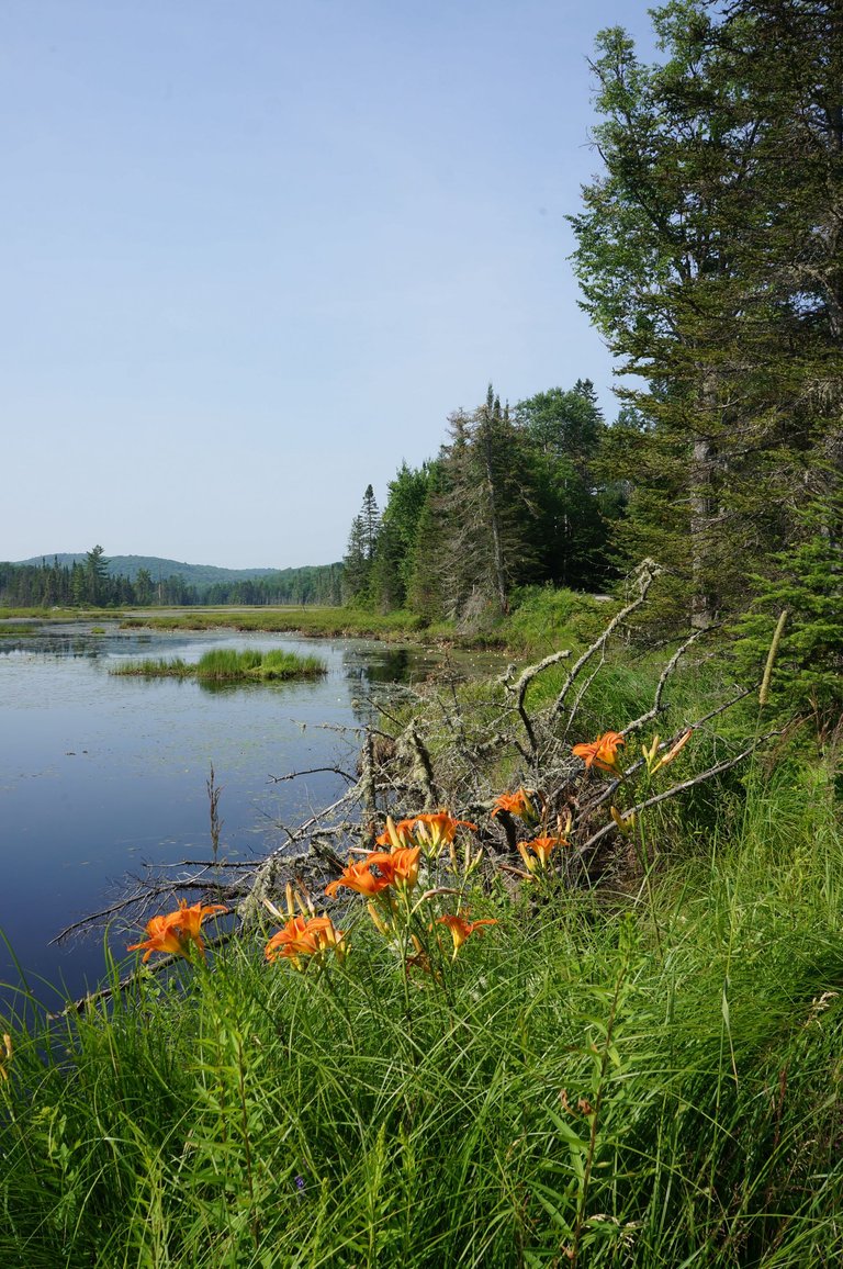 Lac La Marche