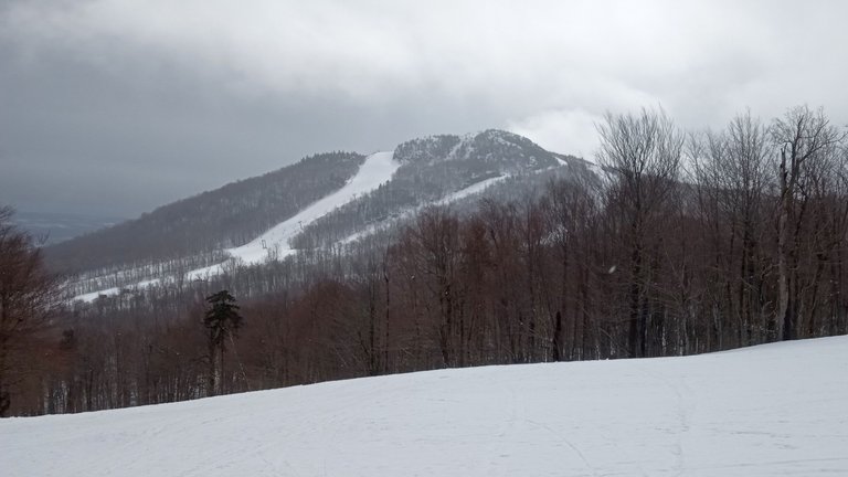 IMG_20250306_104000798.jpg