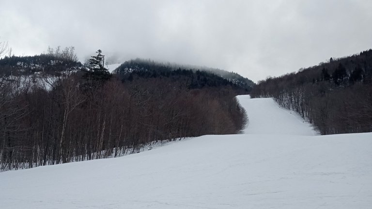 IMG_20250306_141254356.jpg
