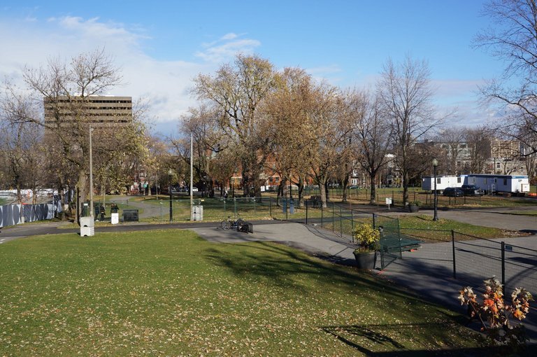 Parc Jeanne Mance, Avenue du Parc