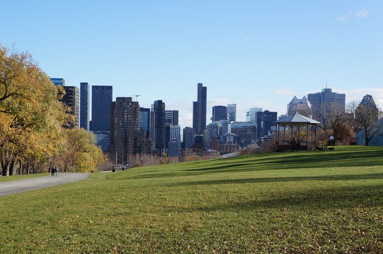 Downtown from Avenue du Parc