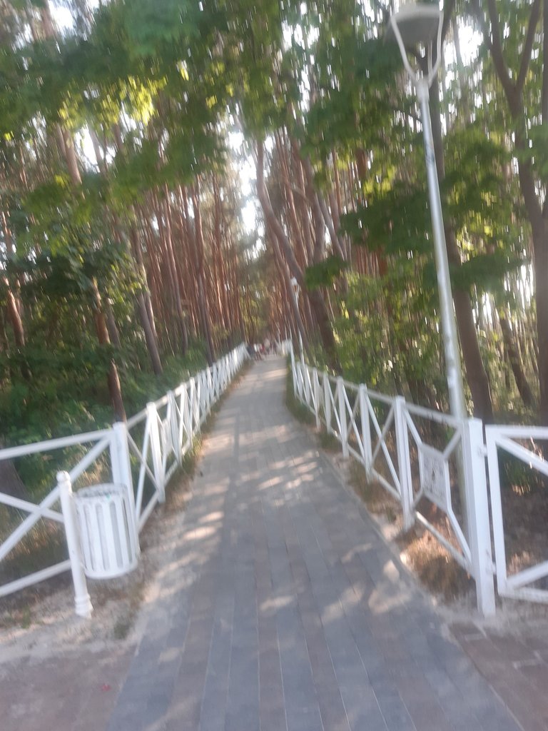 20250626_182704.jpg