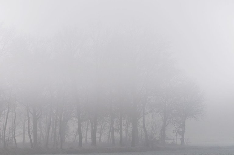 Qurator Fog.jpg