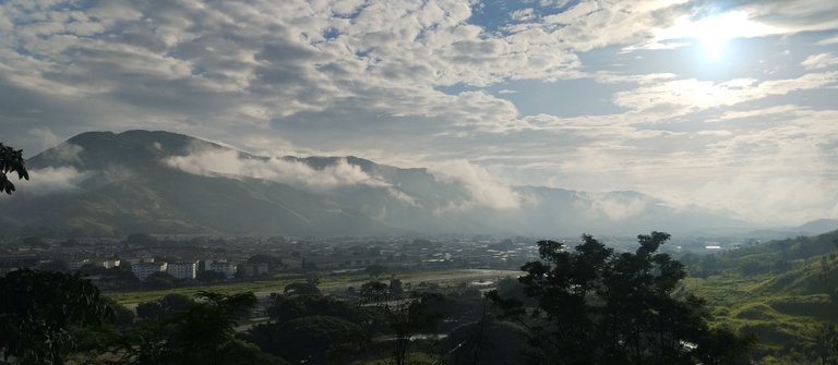 IMG_20250720_073030.jpg