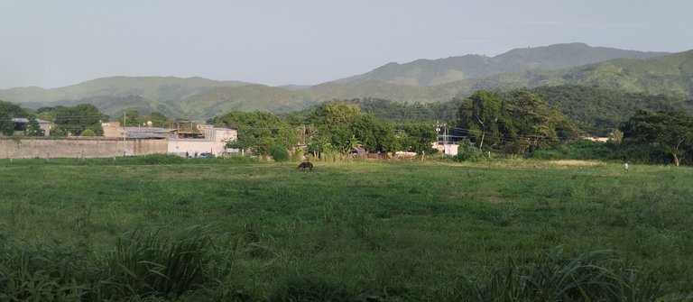 IMG_20250626_182058.jpg