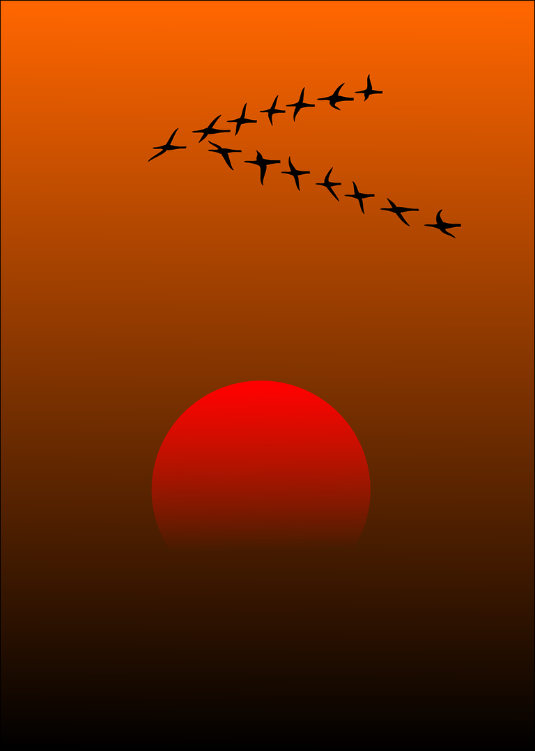 migratory-birds-157638_1280.png