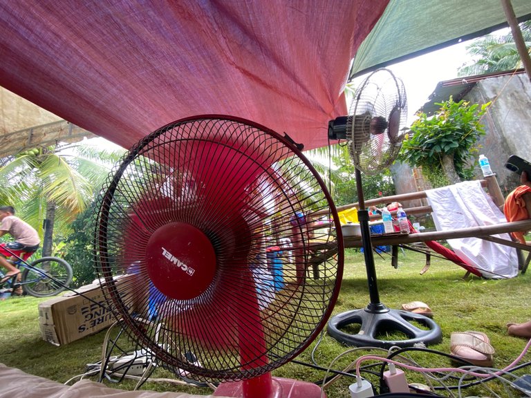 E9377190-FF2C-49FA-829C-B493E0870879.jpeg