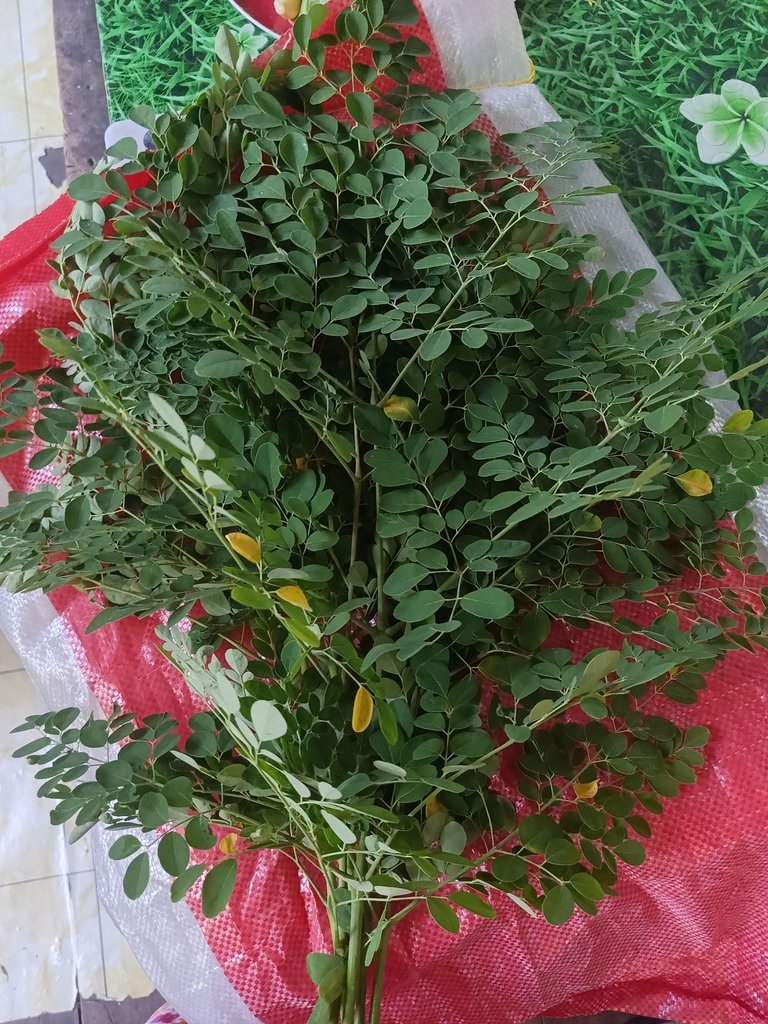 IMG20250804104154.jpg