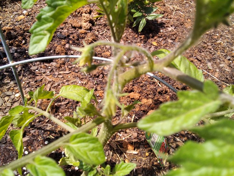 IMG_20200418_030846.jpg