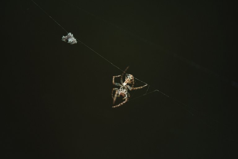 DSCF8565.jpg
