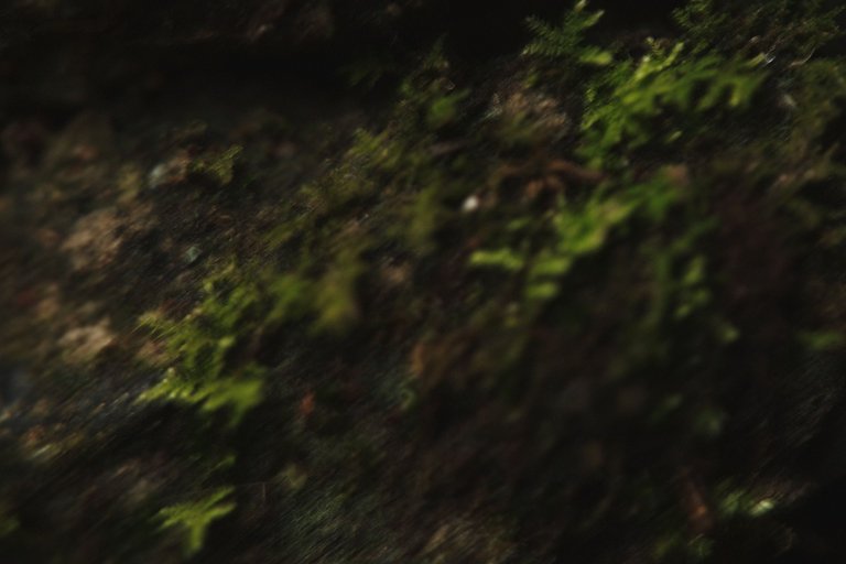 DSCF8572.jpg