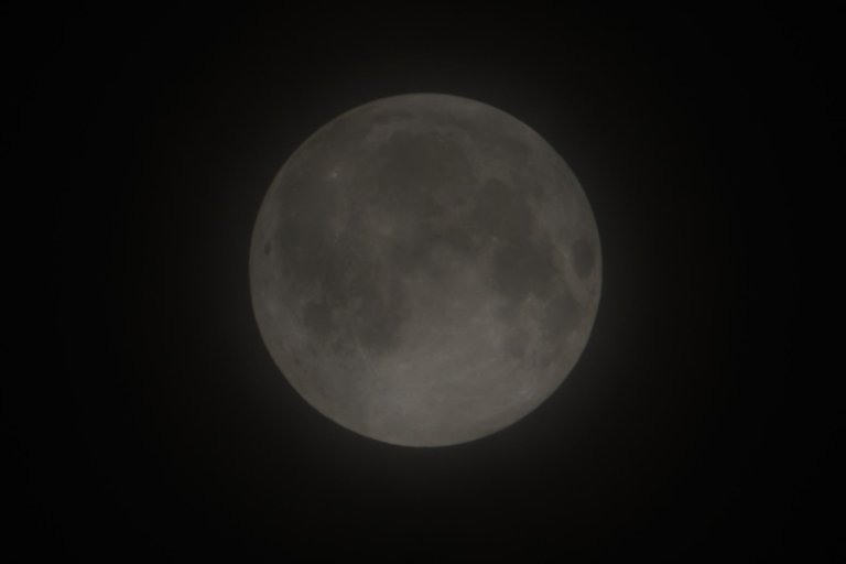 DSCF9336.jpg