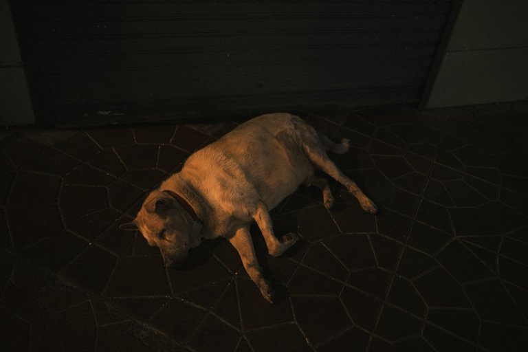DSCF4732.jpg