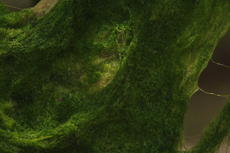 DSCF8493.jpg