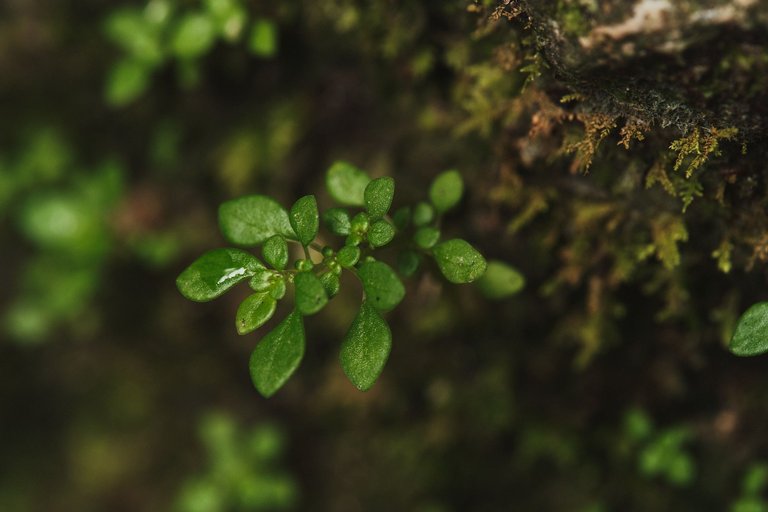 DSCF8563.jpg