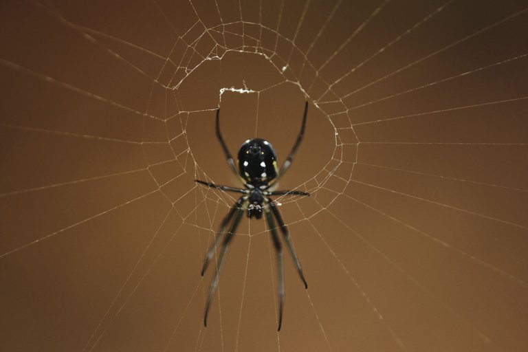 DSCF8538.jpg