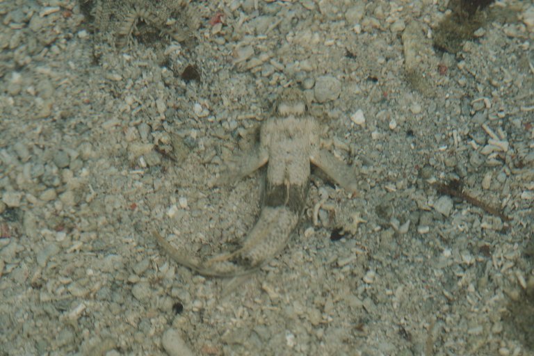 DSCF8525.jpg