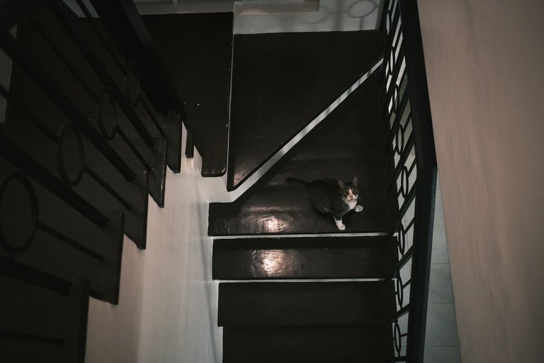 _DSF5865.jpg