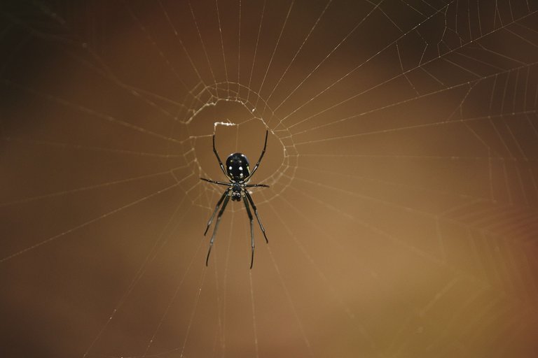 DSCF8537.jpg
