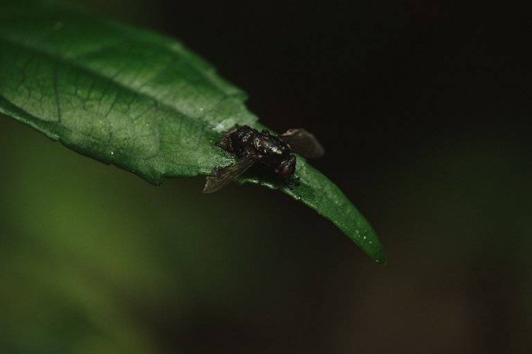 DSCF8575.jpg
